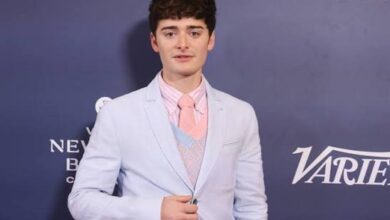 ist noah schnapp schwul