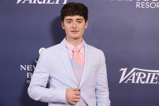 ist noah schnapp schwul
